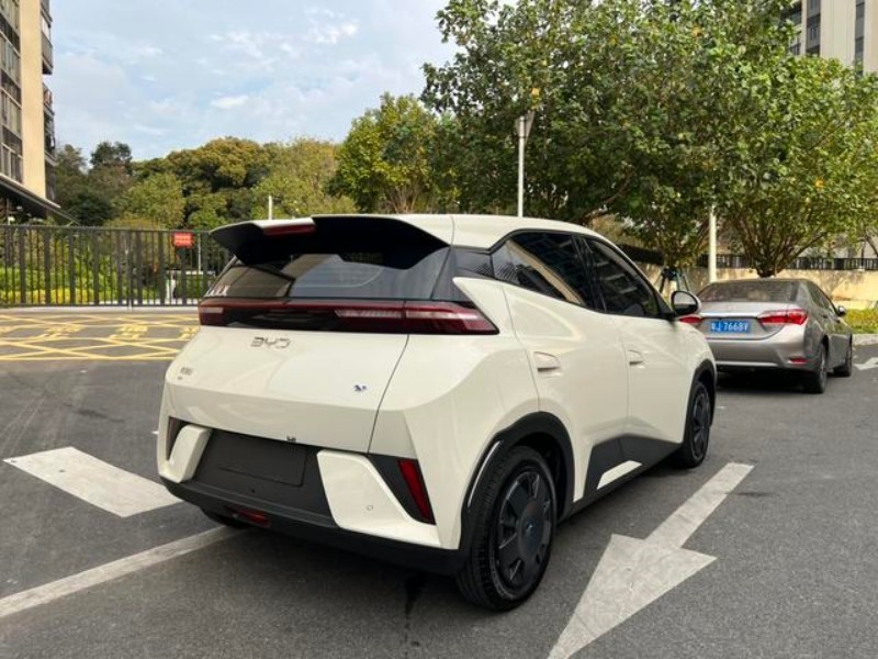 BYD BYD Seagull 2025 305KM Vitality Edition