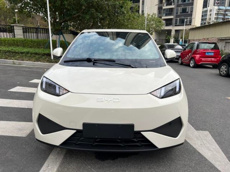 BYD BYD Seagull 2025 305KM Vitality Edition