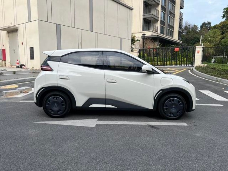 BYD BYD Seagull 2025 305KM Vitality Edition