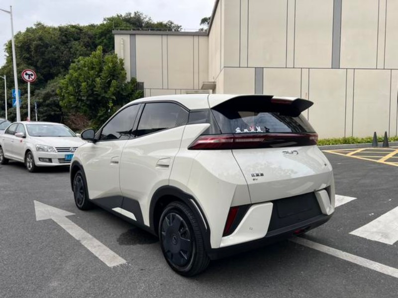 BYD BYD Seagull 2025 305KM Vitality Edition