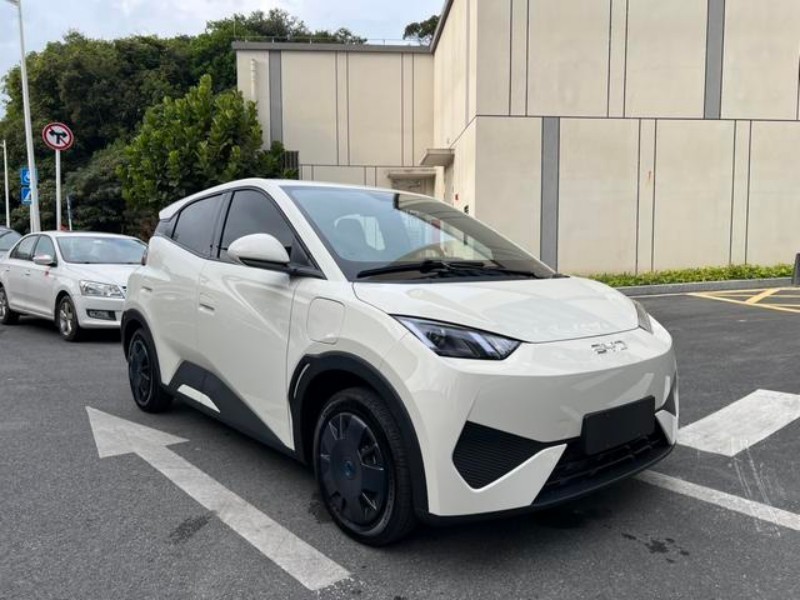 BYD BYD Seagull 2025 305KM Vitality Edition