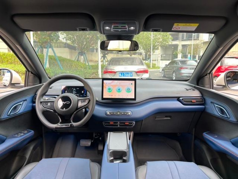 BYD BYD Seagull 2025 305KM Vitality Edition