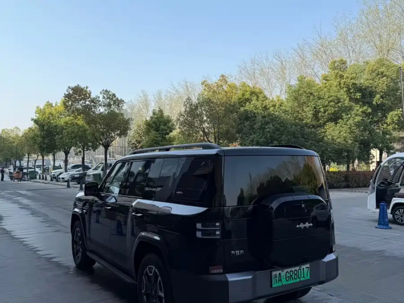 Leopard Titan 7 2025 200KM Two-Wheel Drive Max Edition