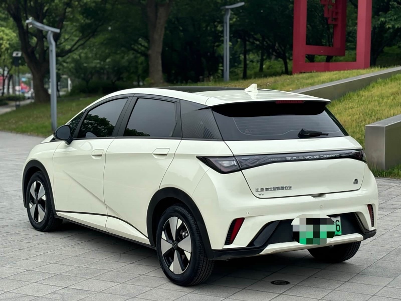 BYD Dolphin 2023 Model 420km Fashion Edition