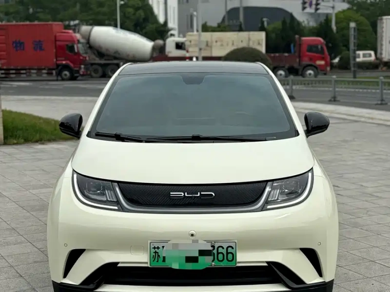 BYD Dolphin 2023 Model 420km Fashion Edition