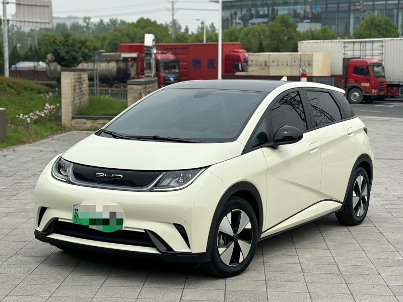 BYD Dolphin 2023 Model 420km Fashion Edition