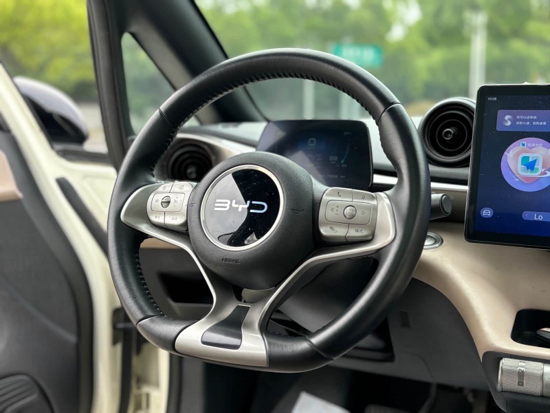 BYD Dolphin 2023 Model 420km Fashion Edition