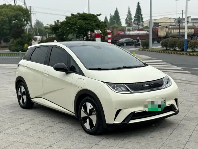 BYD Dolphin 2023 Model 420km Fashion Edition