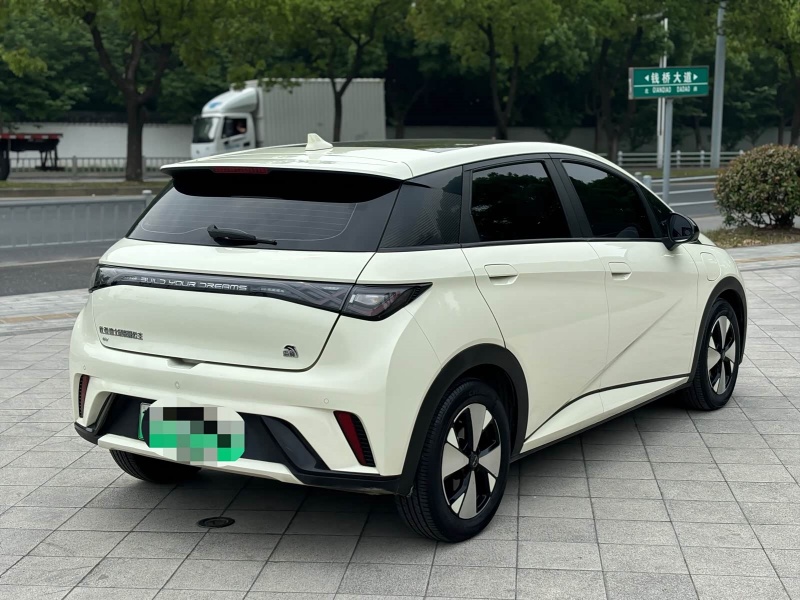 BYD Dolphin 2023 Model 420km Fashion Edition