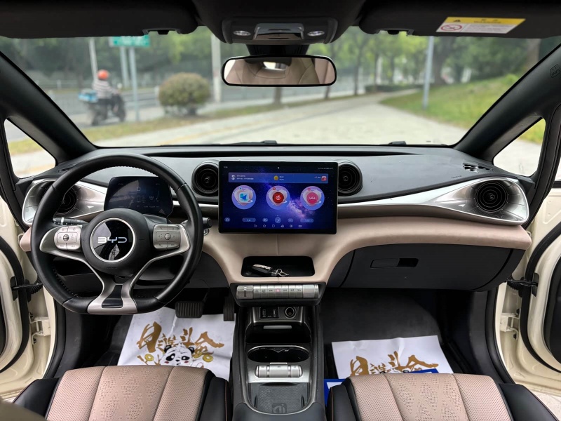 BYD Dolphin 2023 Model 420km Fashion Edition
