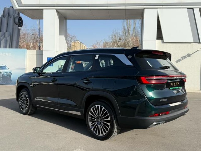 Jetour Jetour shanhai L9 2024 1.5TD Pro