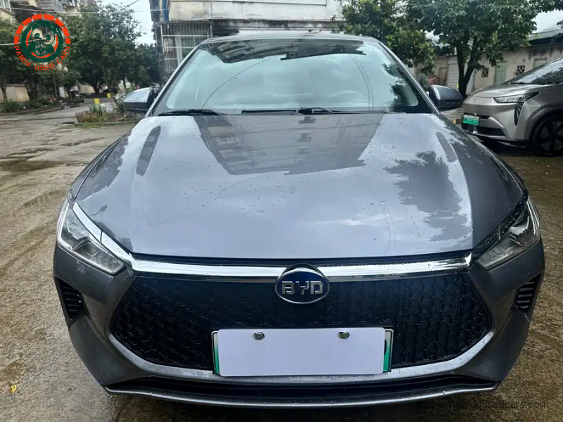 BYD BYD e2 2021 Model Comfort Version