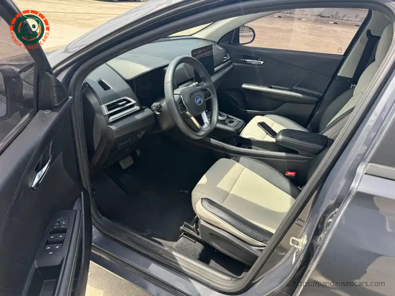 BYD BYD e2 2021 Model Comfort Version