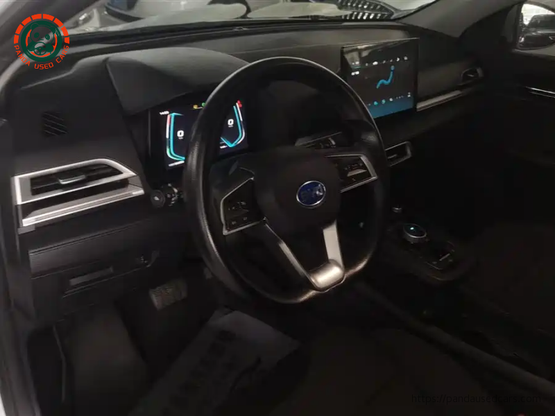 BYD BYD e2 2021 Model Comfort Version