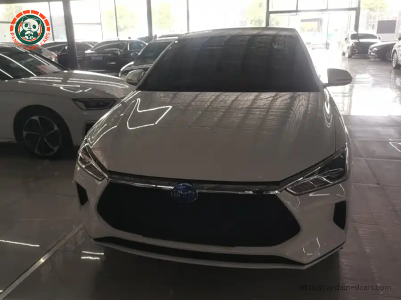 BYD e2 2021 Model Comfort Version