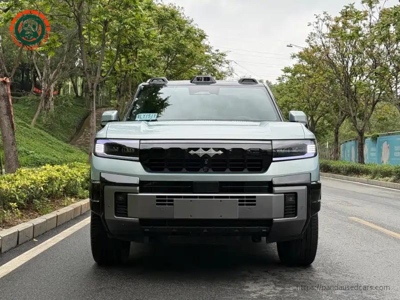 Leopard  Leopard 8 2025 Wisdom & Bravery Flagship 7-Seater