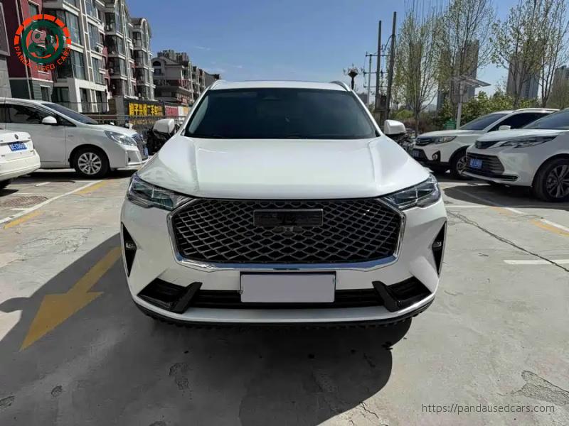 Haval Haval H6 2024 1.5T 2WD Classic Edition