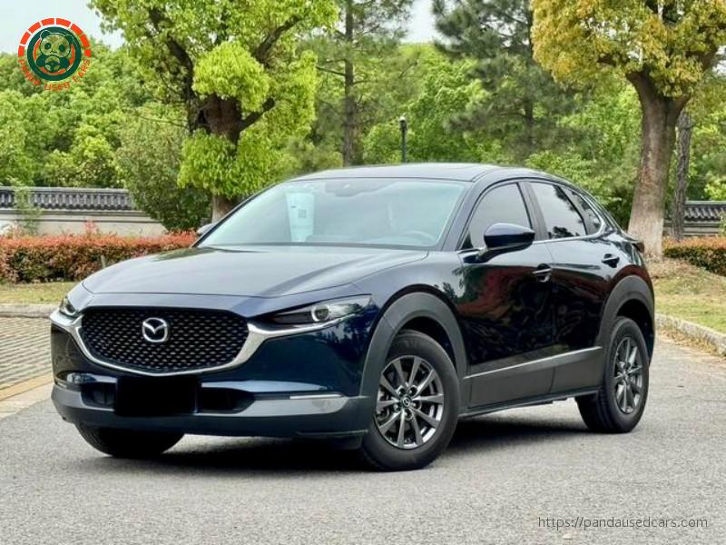 Mazda CX-30 2020 2.0L Automatic Premium Edition