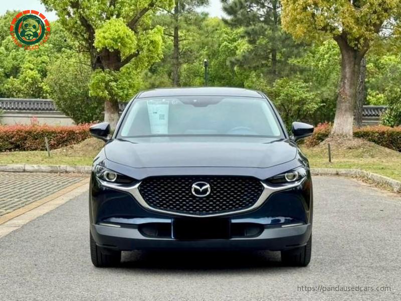 Mazda Mazda CX-30 2020 2.0L Automatic Premium Edition