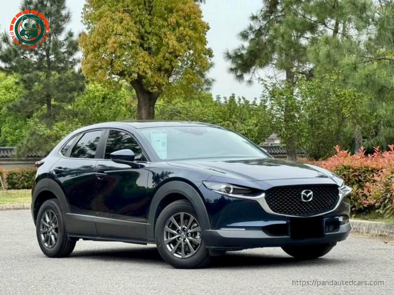 Mazda Mazda CX-30 2020 2.0L Automatic Premium Edition
