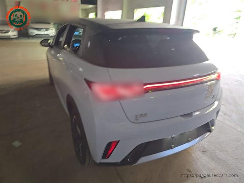 BYD BYD Dolphin 2021 405km Fashion Edition