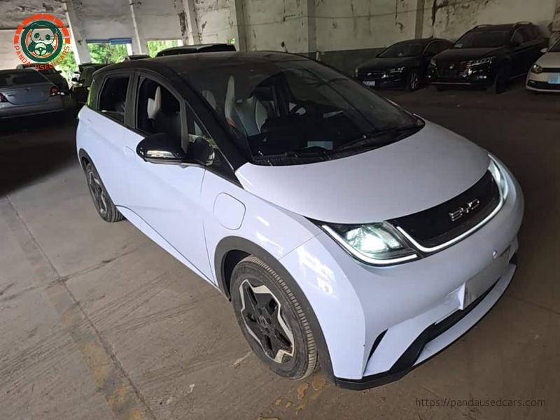 BYD Dolphin 2021 405km Fashion Edition