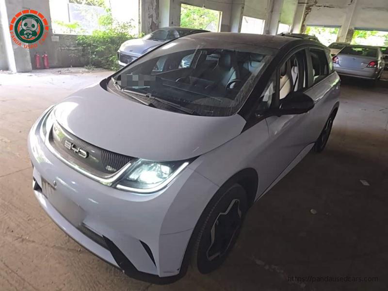 BYD BYD Dolphin 2021 405km Fashion Edition