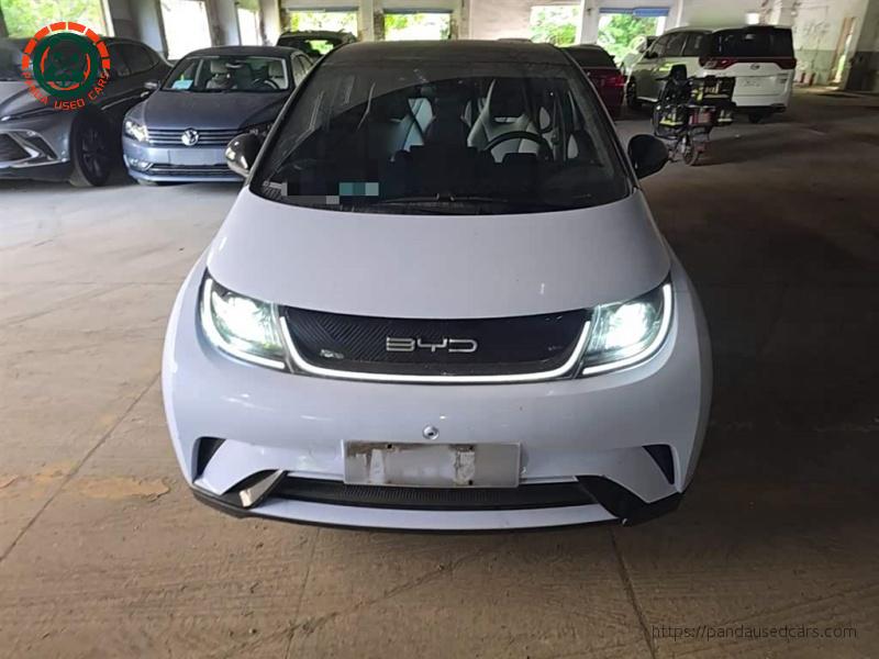 BYD BYD Dolphin 2021 405km Fashion Edition