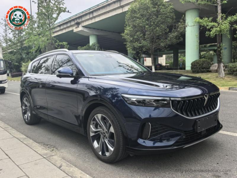 Lantu FREE 2021 Four-wheel Drive Extended Range