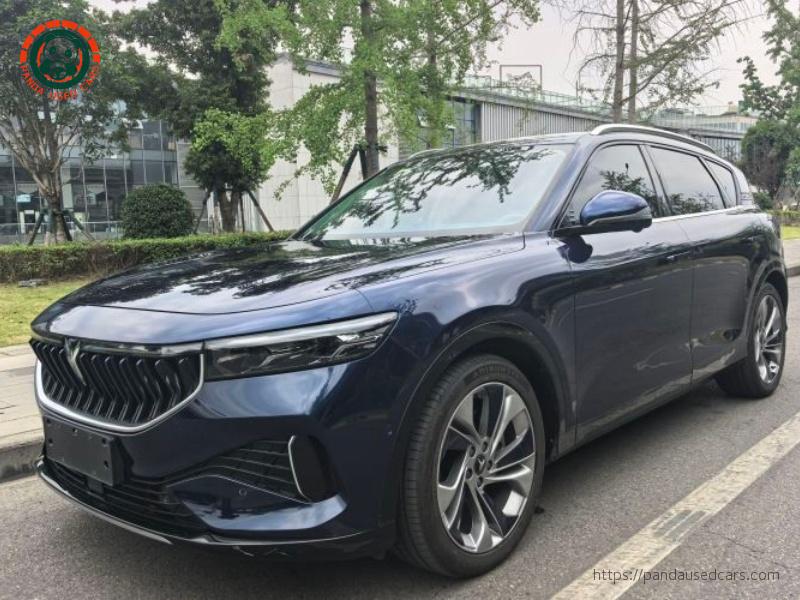 Voyah Lantu FREE 2021 Four-wheel Drive Extended Range