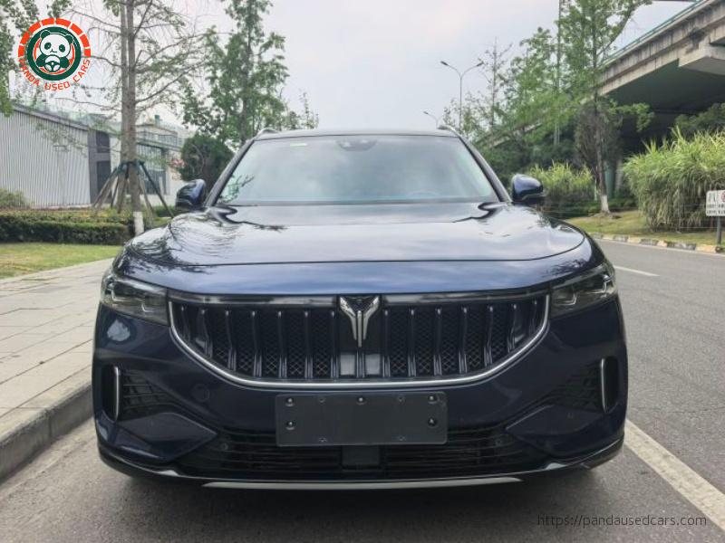 Voyah Lantu FREE 2021 Four-wheel Drive Extended Range