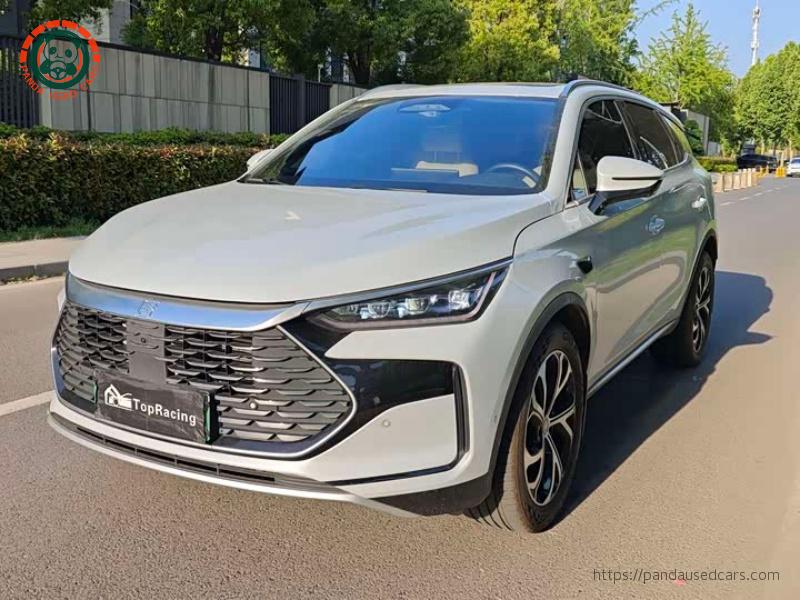 BYD Tang New Energy 2025 Smart Drive DM-i 115KM Honor Edition