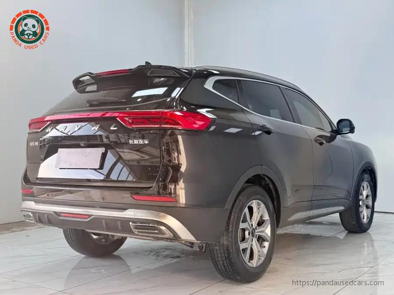 Haval Haval H6 2021 National Trend 1.5T Automatic Champion Edition