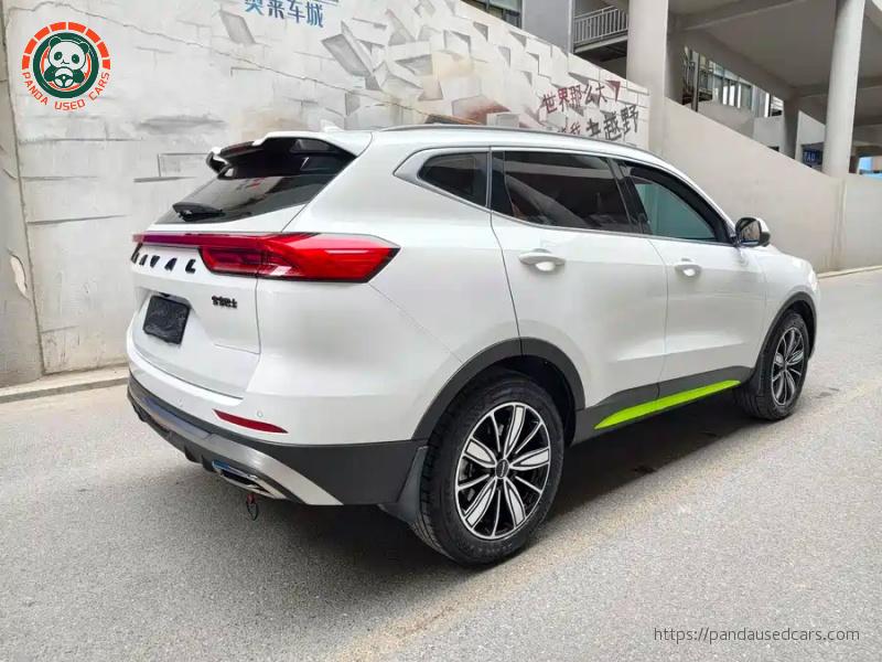 Haval Haval H6 2023 National Trend 1.5T Automatic Champion Edition