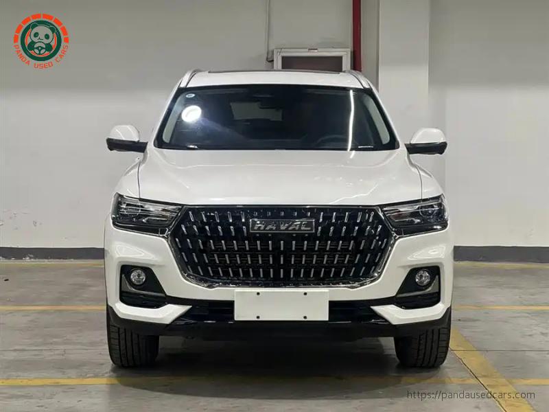 Haval Haval H6 2023 National Trend 1.5T Automatic Champion Edition