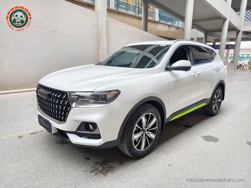 Haval H6 2023 National Trend 1.5T Automatic Champion Edition