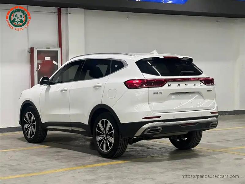 Haval Haval H6 2023 National Trend 1.5T Automatic Champion Edition