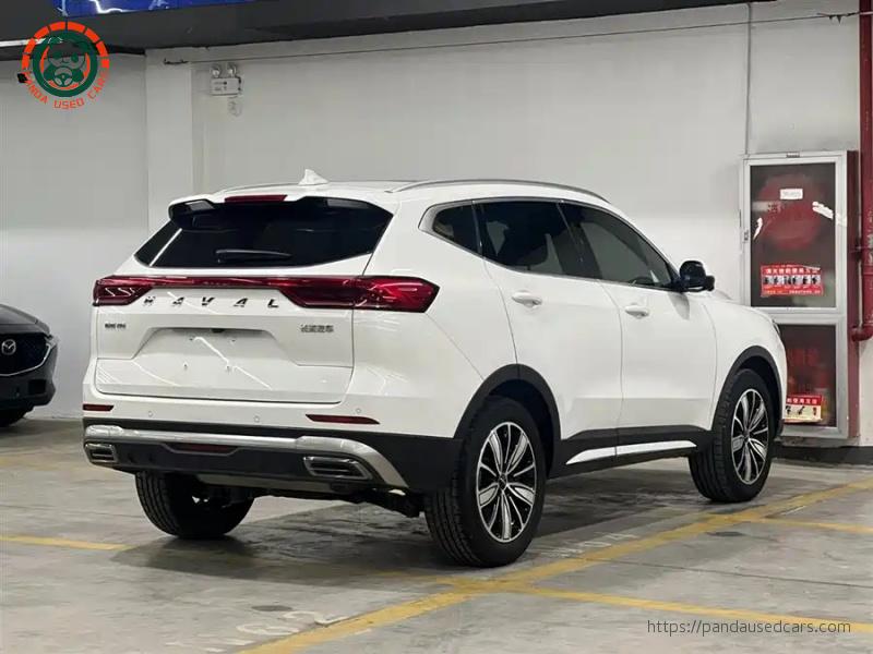 Haval Haval H6 2023 National Trend 1.5T Automatic Champion Edition
