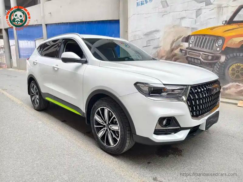 Haval Haval H6 2023 National Trend 1.5T Automatic Champion Edition