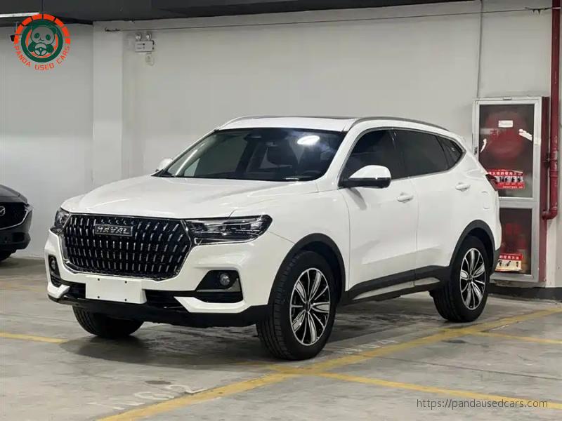 Haval H6 2023 National Trend 1.5T Automatic Champion Edition