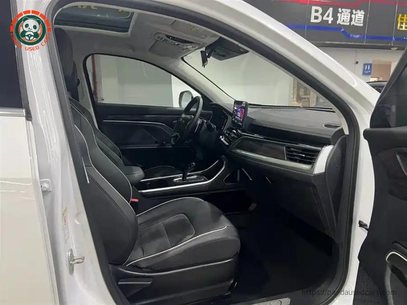 Haval Haval H6 2023 National Trend 1.5T Automatic Champion Edition