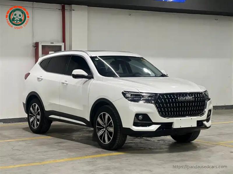 Haval Haval H6 2023 National Trend 1.5T Automatic Champion Edition