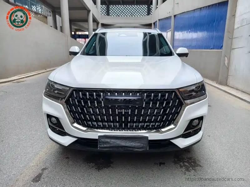 Haval Haval H6 2023 National Trend 1.5T Automatic Champion Edition