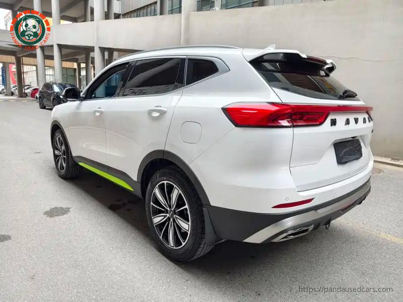 Haval Haval H6 2023 National Trend 1.5T Automatic Champion Edition