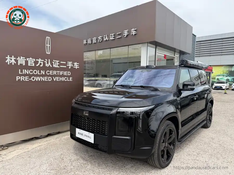 ROX ROX 01 2024 Premium 6-seater Long Range Version