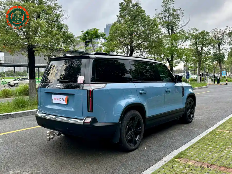 ROX ROX 01 2024 Premium 6-seater Long Range Version