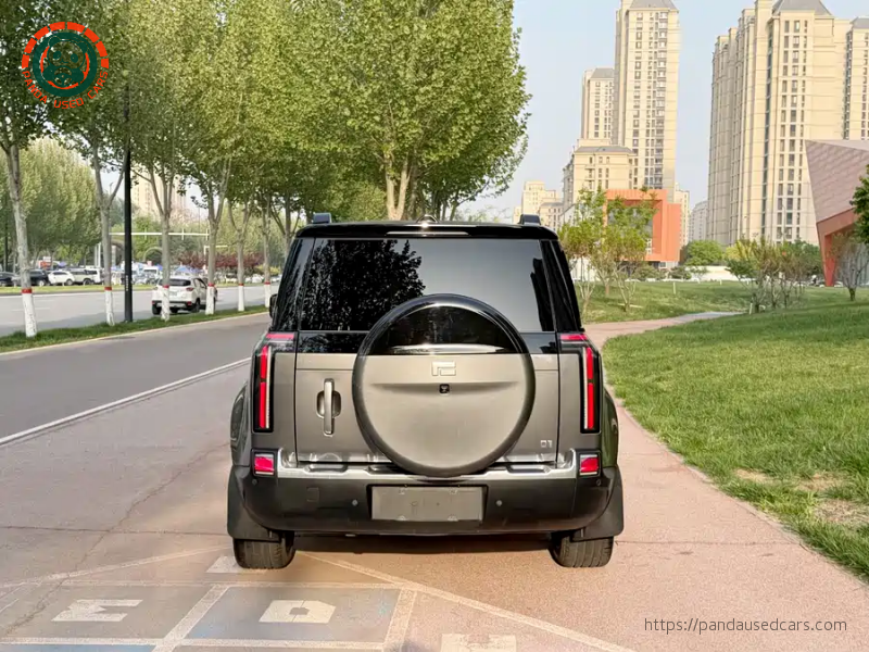 ROX ROX 01 2024 Premium 6-seater Long Range Version