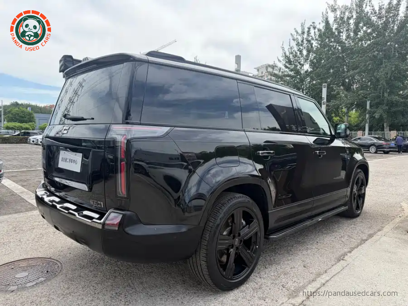 ROX ROX 01 2024 Premium 6-seater Long Range Version