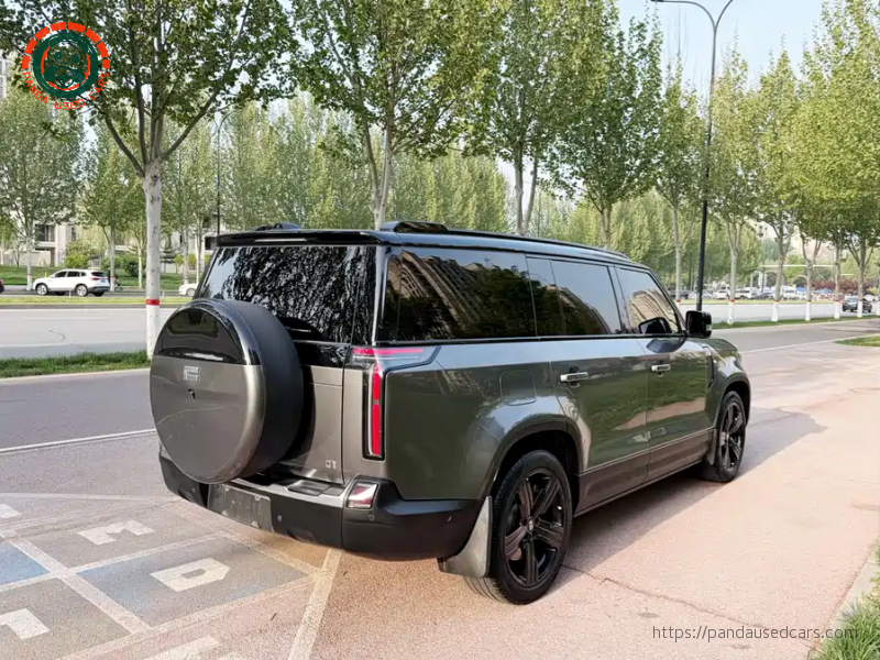 ROX ROX 01 2024 Premium 6-seater Long Range Version