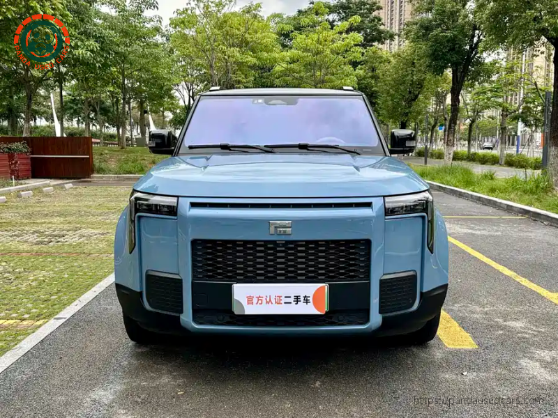 ROX ROX 01 2024 Premium 6-seater Long Range Version